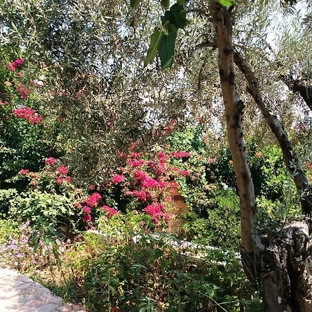 Angelica Villas Hotel Apartments Epidaurus ภายนอก รูปภาพ