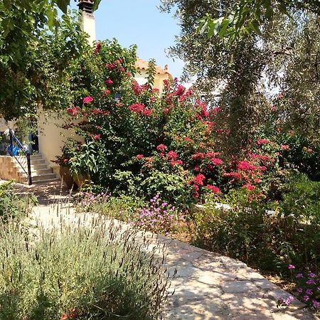 Angelica Villas Hotel Apartments Epidaurus ภายนอก รูปภาพ