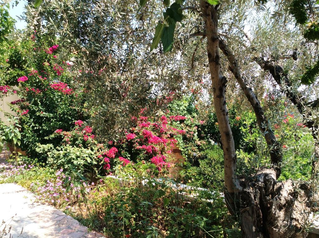 Angelica Villas Hotel Apartments Epidaurus ภายนอก รูปภาพ