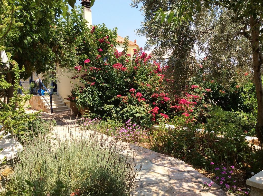 Angelica Villas Hotel Apartments Epidaurus ภายนอก รูปภาพ