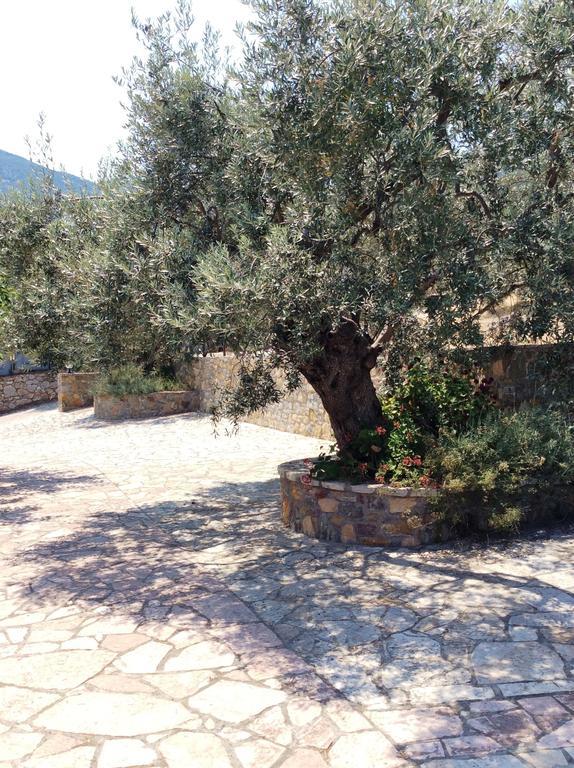 Angelica Villas Hotel Apartments Epidaurus ภายนอก รูปภาพ